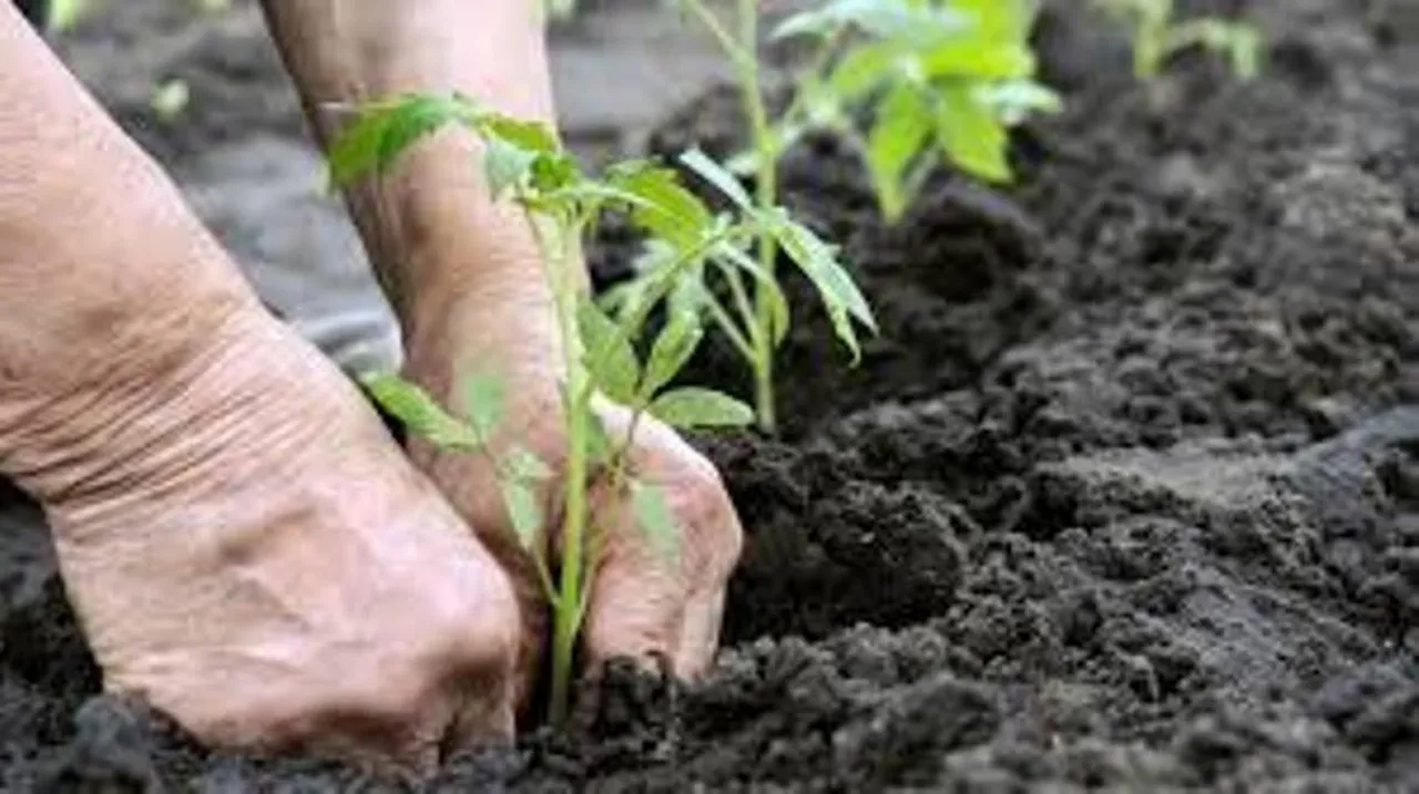 First Organic University to be setup in Gujarat