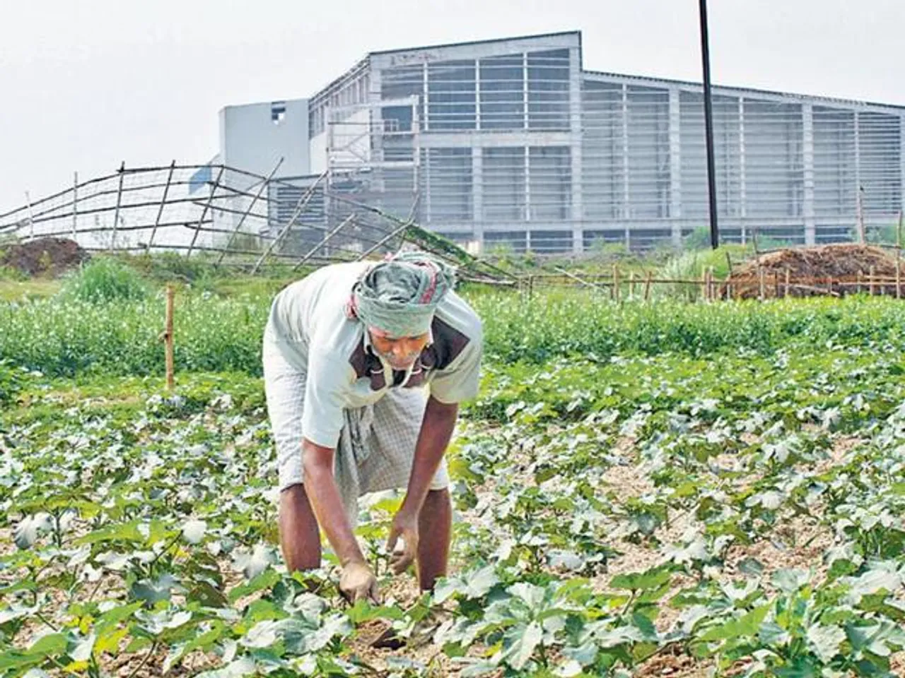 Singur men happy to get back lands, uncertain about future