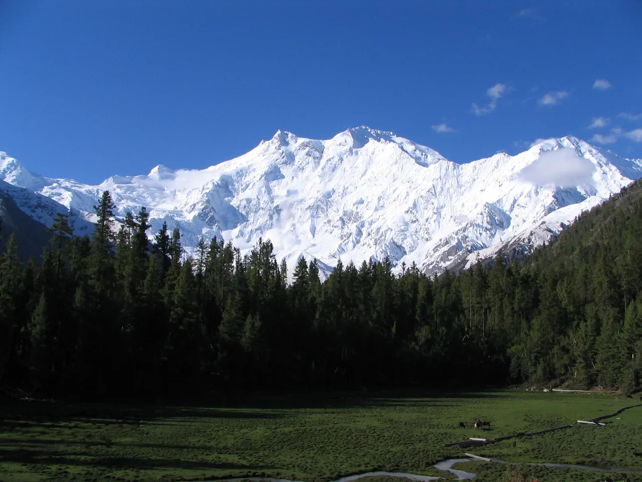 Autumn in Kashmir: Nature in bloom but where are the tourists?