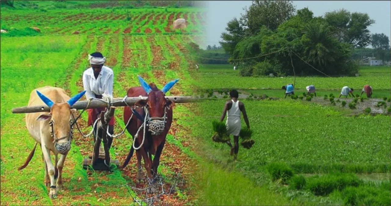 Government starts programmes to connect farmers to lab