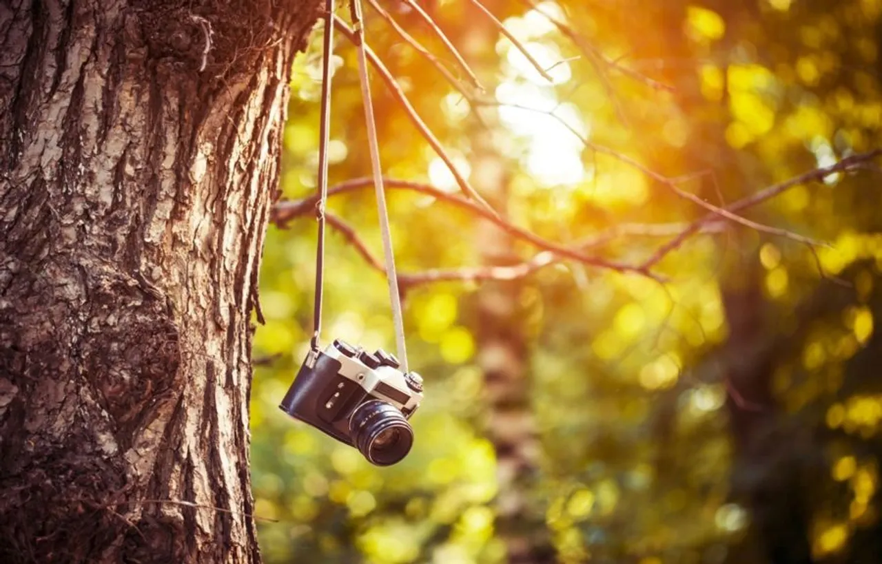 Delhi to host ‘green’ photography festival