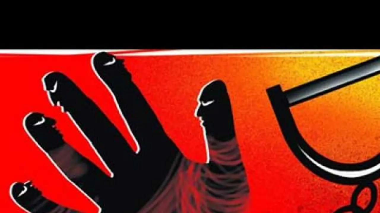 BJP leader’s son gets five-year prison term for murder