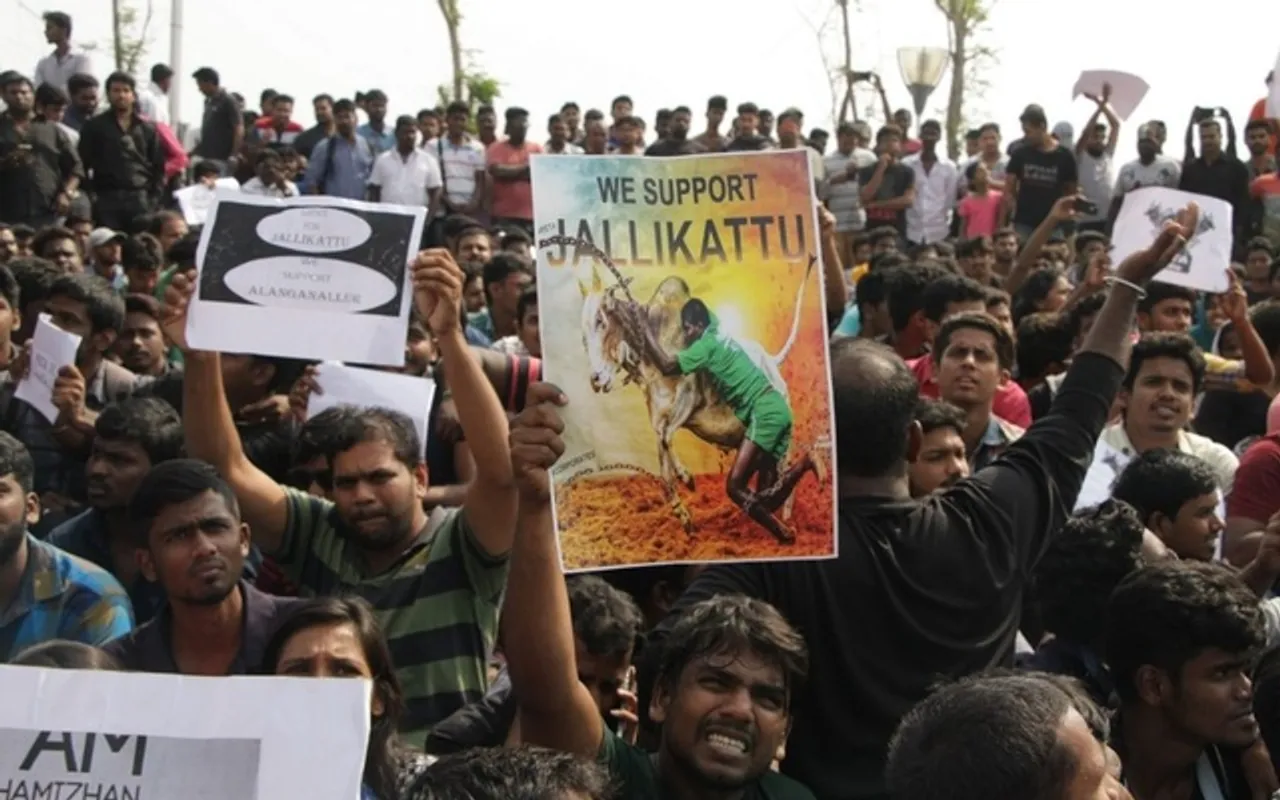 Jallikattu protests continue in Tamil Nadu