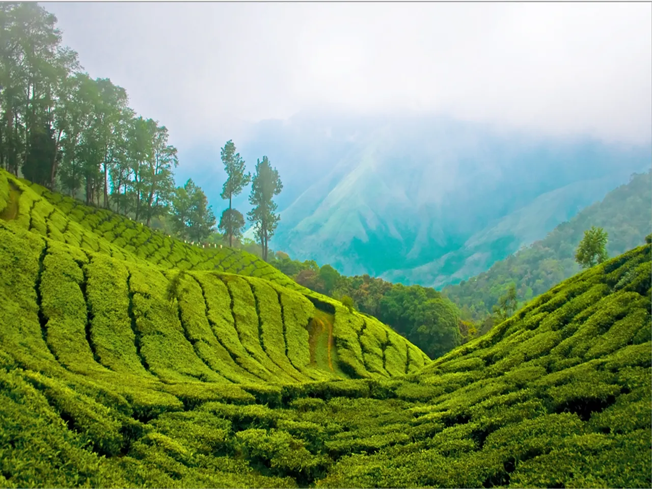 Assam hamlet aspires to be India’s cleanest