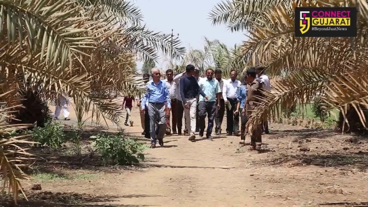 Ambassador of Tunisia visits Date farm in Jitali village of Ankleshwar
