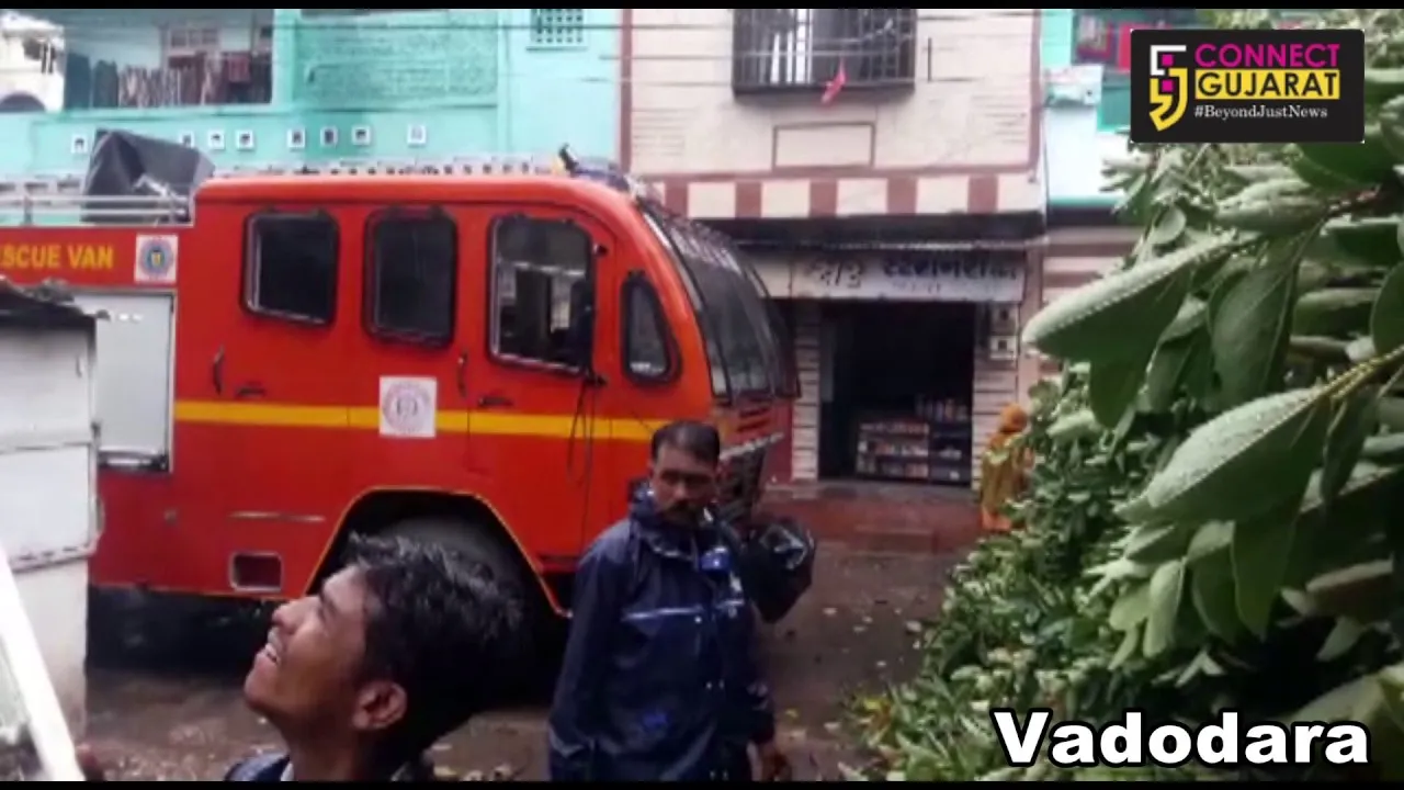 100 year old Banyan tree fell on parked vehicles in Vadodara