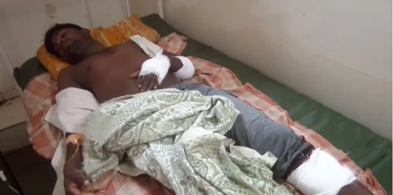Youth save himself from the jaws of crocodile