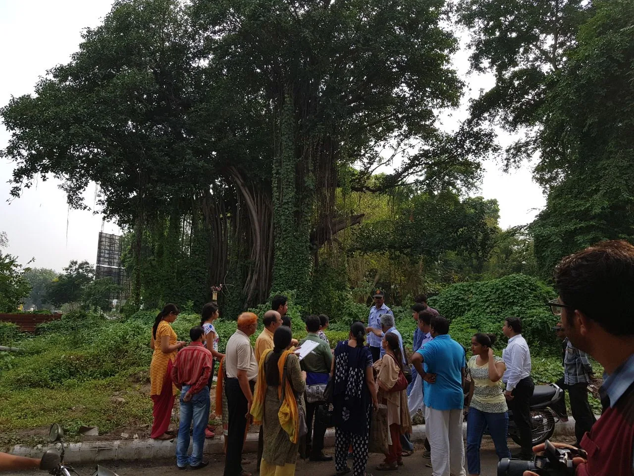 Nature Walk Group oppose the move to cut down oldest Banyan trees