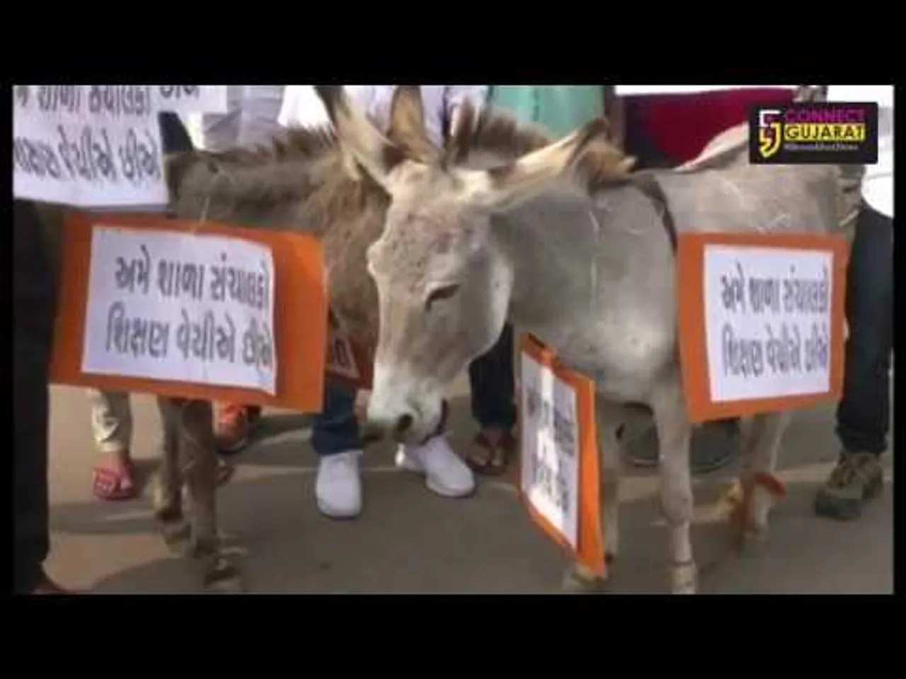 Vali Mandal used donkey to protest against schools