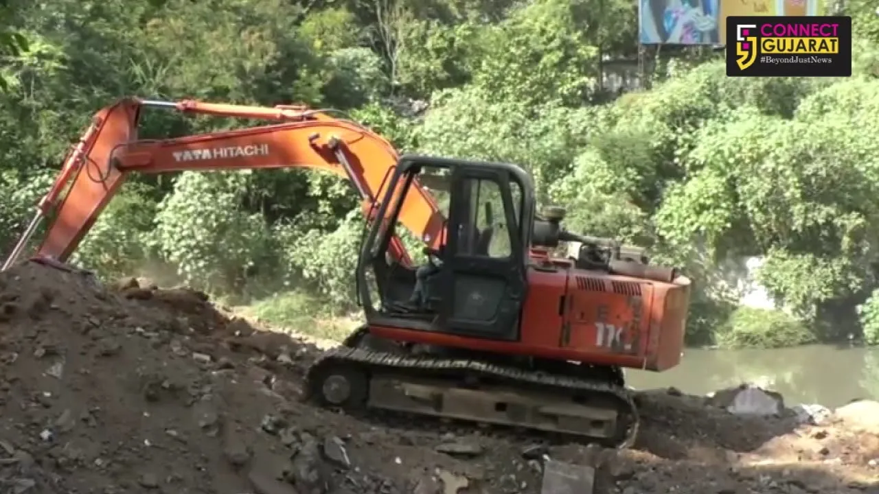 Protest against illegal dumping and damaging the wildlife on the bank of Vishwamitri river