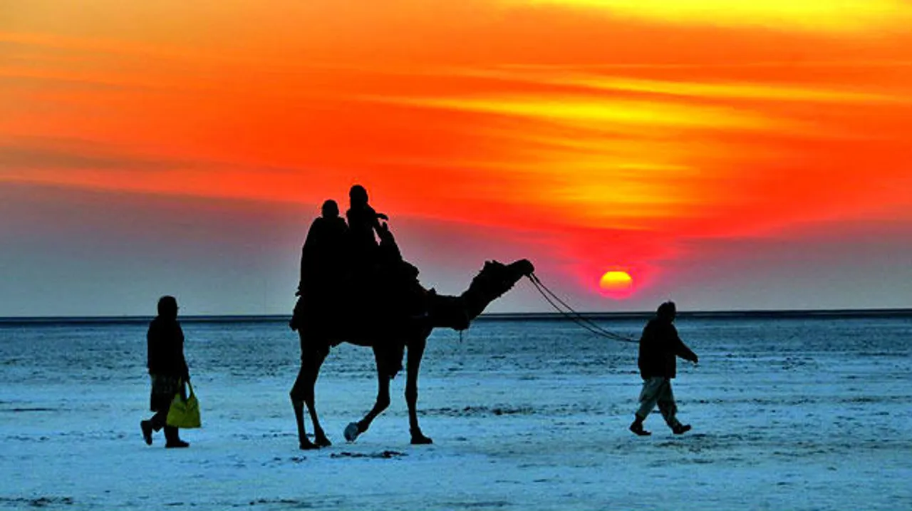 Places to visit in Gujarat in January