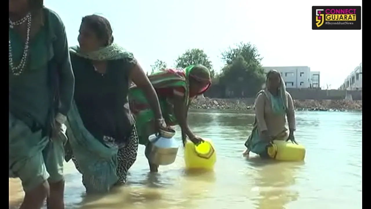 People drink water from a stinking pond in Vadodara