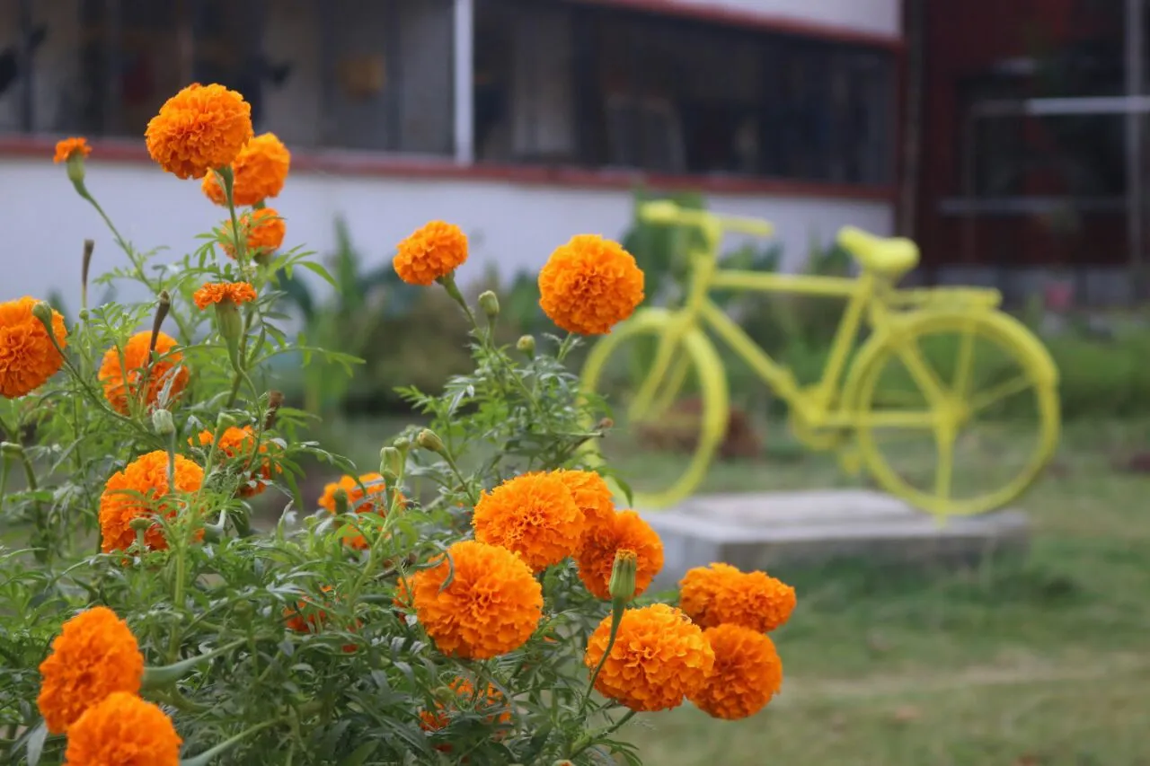MSU hostel boys contribution in developing their surroundings