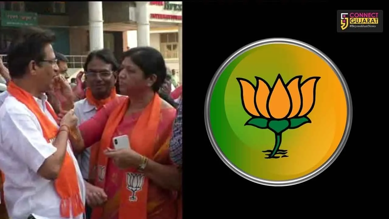 Vadodara BJP celebrate the thumping performance by party in Tripura