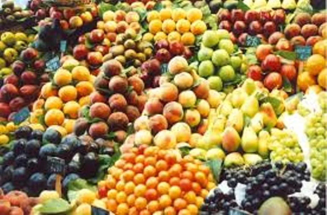 India focuses on Kazakhstan to boost fruit exports to Central Asia