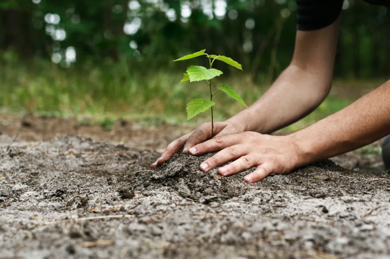 Delhi government to plant 20 lakh saplings this monsoon