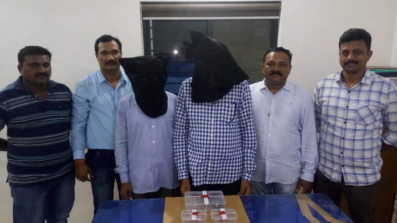 Vadodara SOG arrested two with mouzer and live cartridges