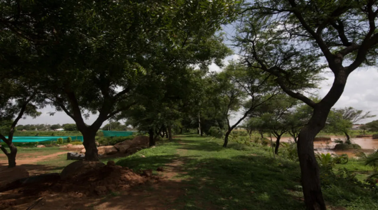 Heartfulness shaping a new reality for a Green future