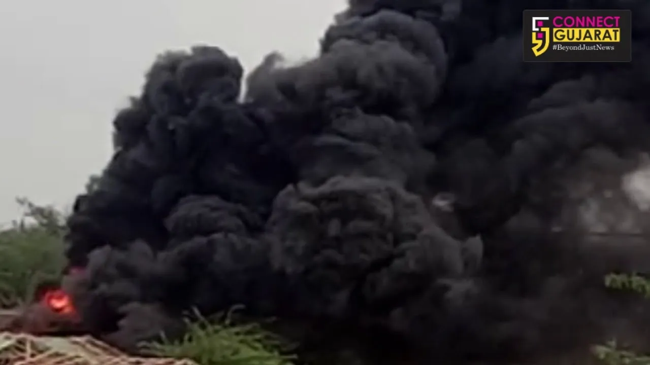 Fire in plastic seeds godown in Vadoadara