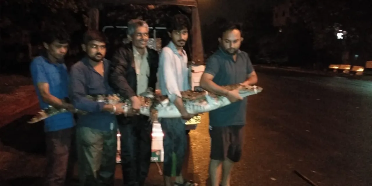 Two crocodiles rescued by forest department in Vadodara