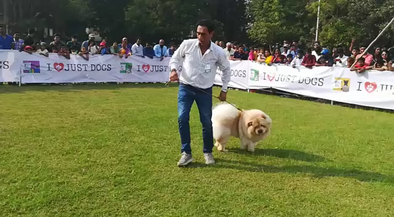 More then 150 dogs of 30 different breeds participate Dog show in Vadodara