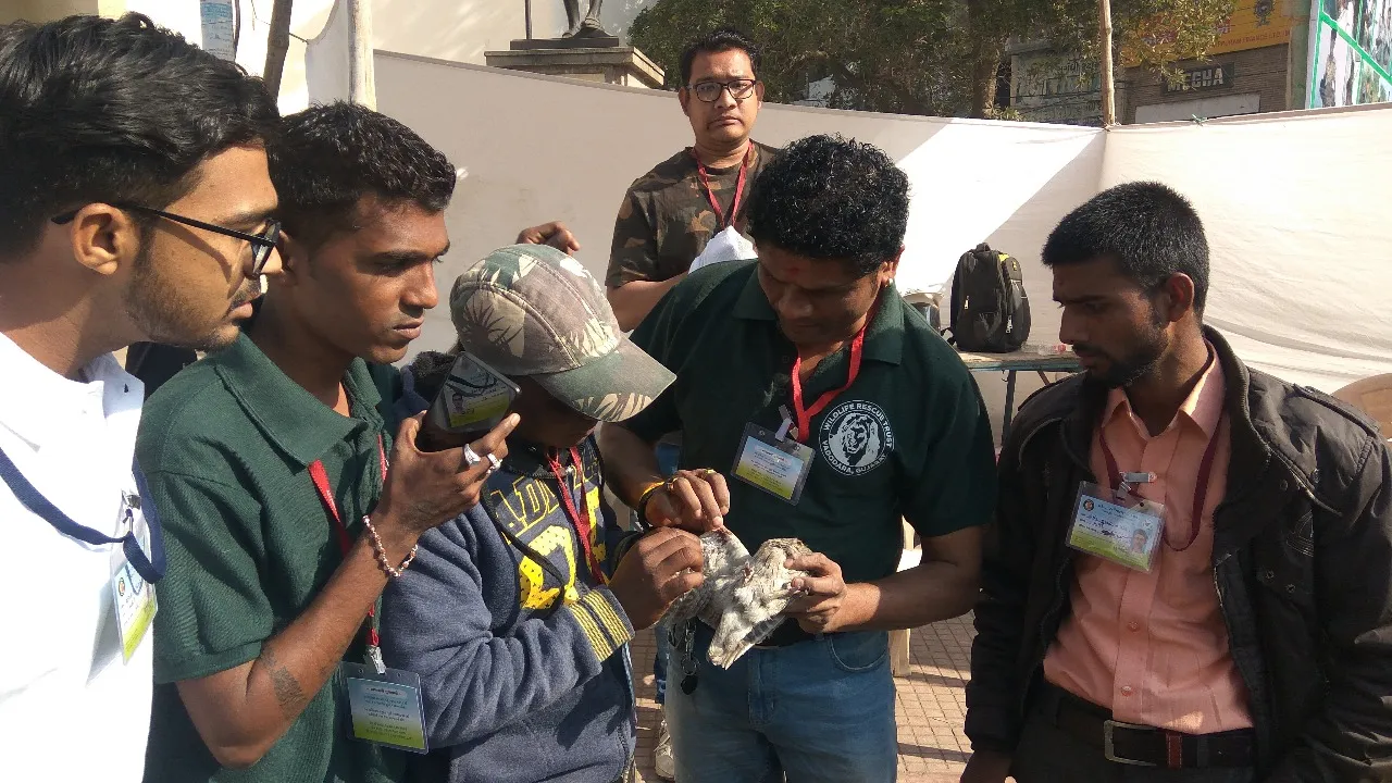 Nearly 177 birds and animals hit by kite strings till evening in Vadodara