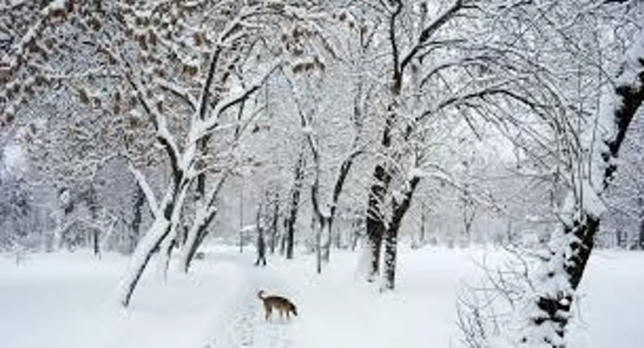 Severe cold wave in Kashmir Valley, Ladakh