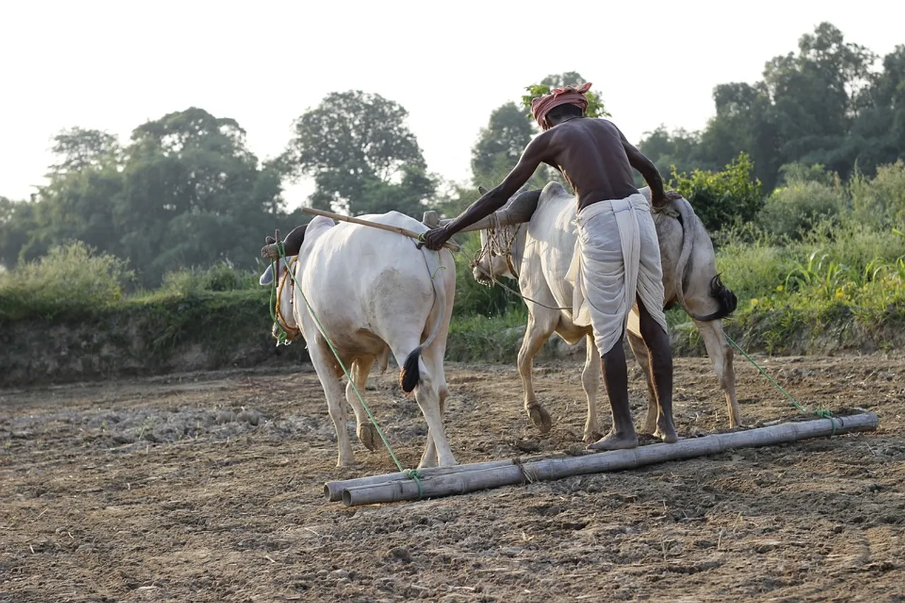 Farm income support a major policy shift: Economic Affairs Secretary