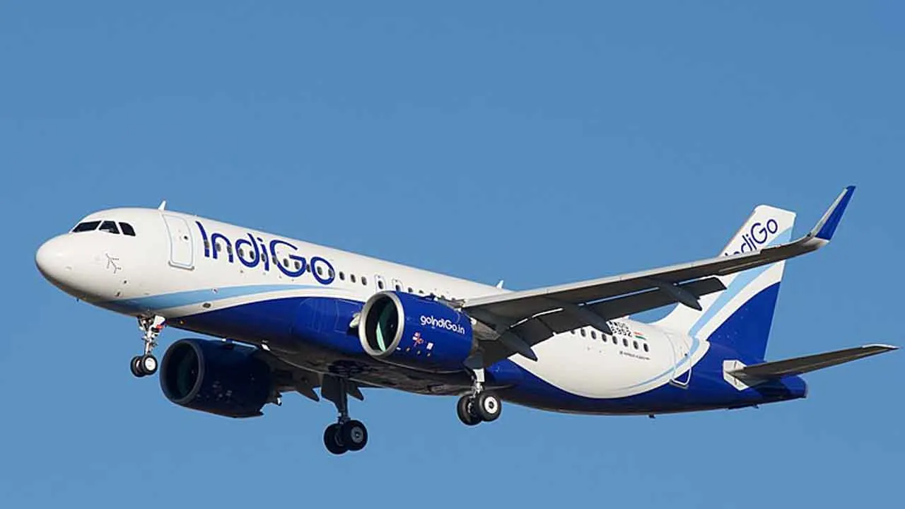Indigo takes off with viral meme on Twitter