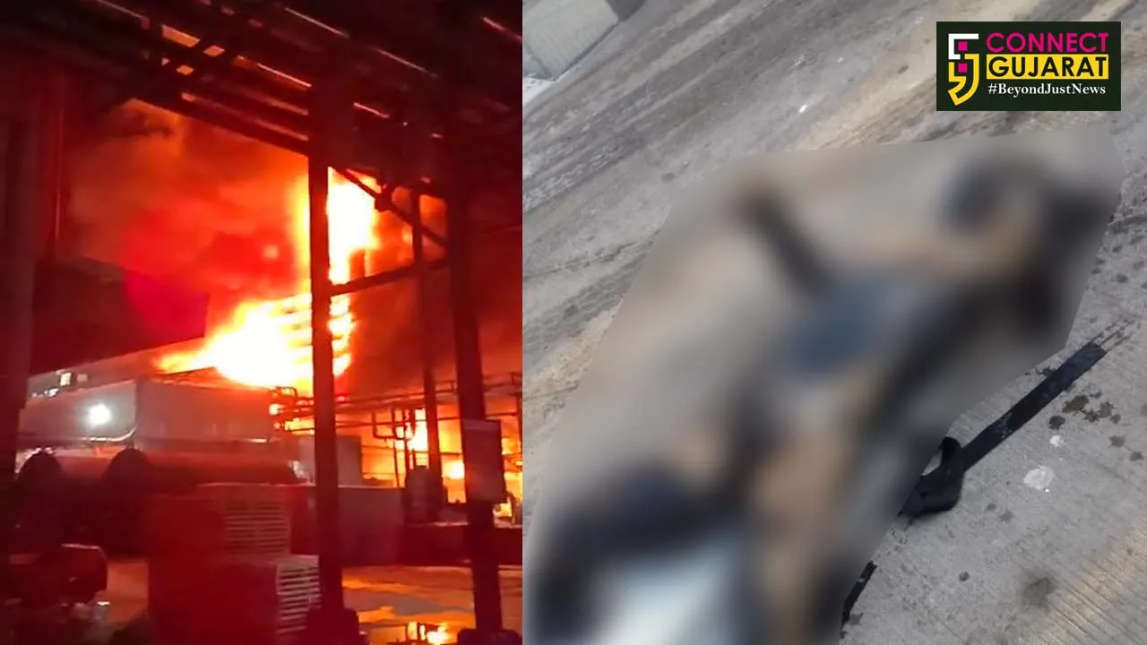 Body of missing Shreyas Mehta found in Meghmani fire incident