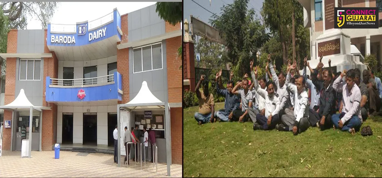 Baroda dairy chairman caught the carelessness of security at Bodeli chilling centre