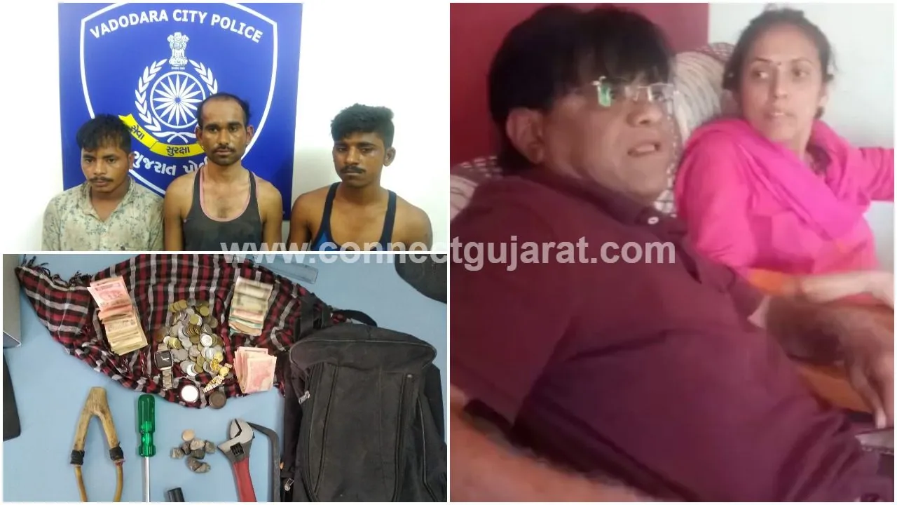 Elderly couple fought with gang of robbers
