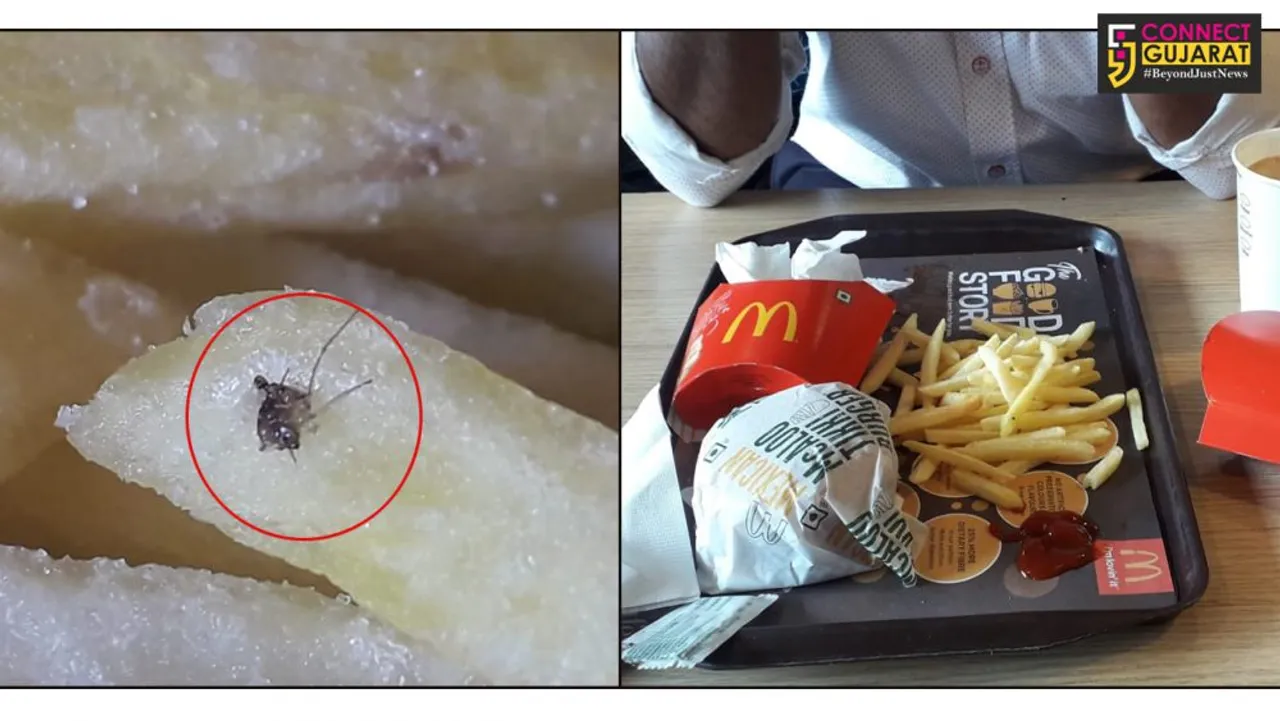 Dead mosquito found with French Fries inside McDonald’s  