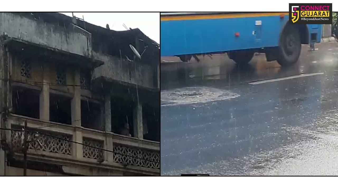 Mild showers in Vadodara  