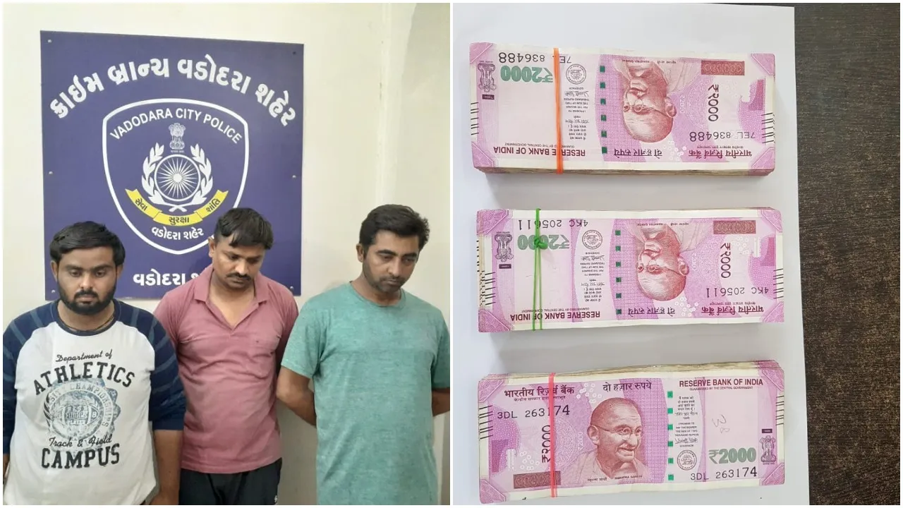 Vadodara crime branch arrested the gang involved in cheating