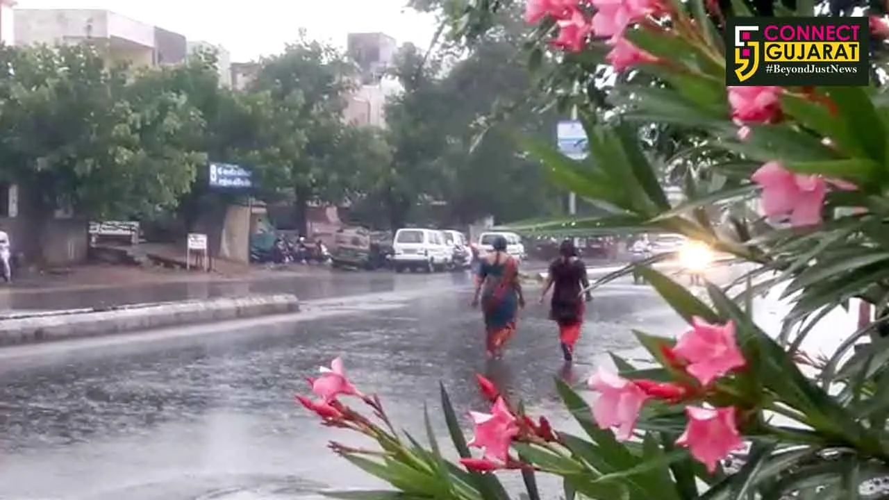 Rain comes pouring in Vadodara after a long break
