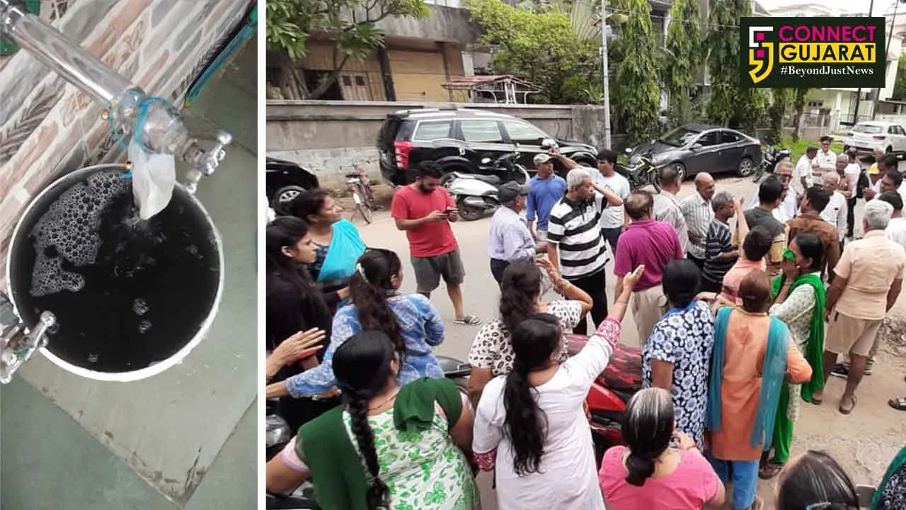 Residents of Shree Hari Complex in Vadodara demand of basic facilities in the area