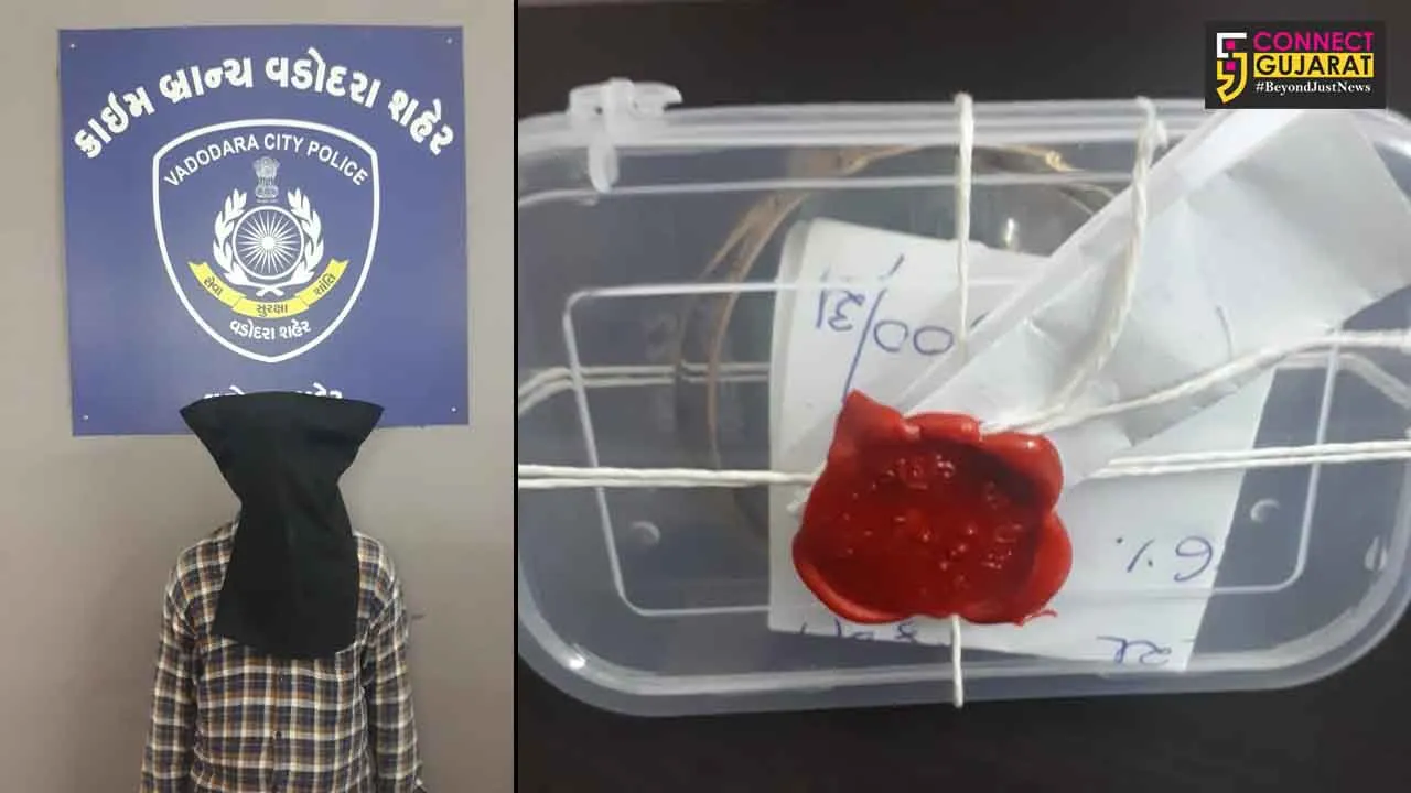Vadodara crime branch arrested one for robbed a woman