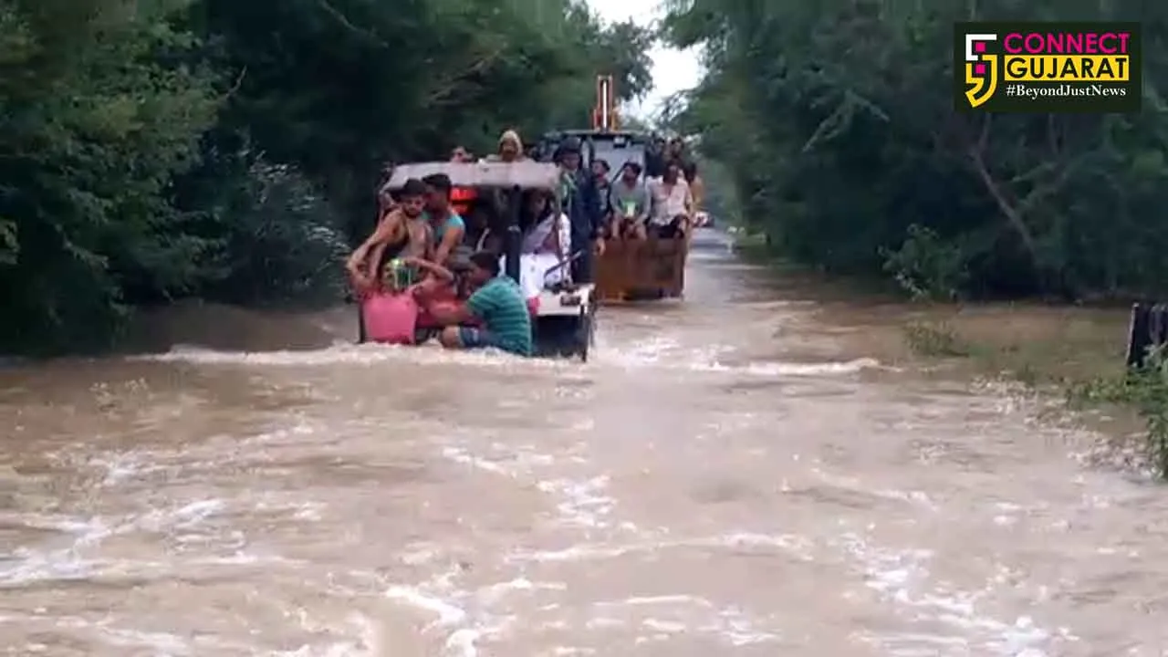 Vadodara district collector Shalini Agarwal visited flood affected areas in Padra on board a tractor