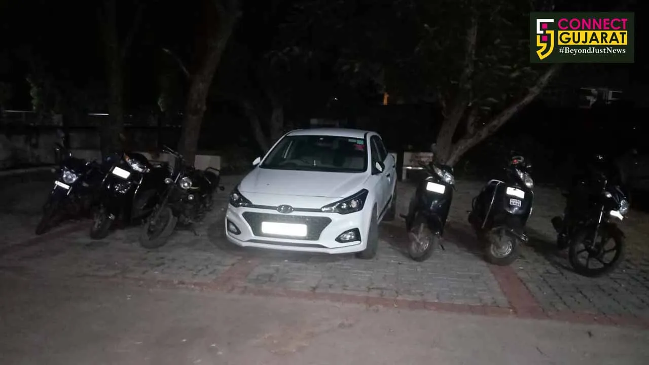 Vadodara PCB caught 12 people for gambling