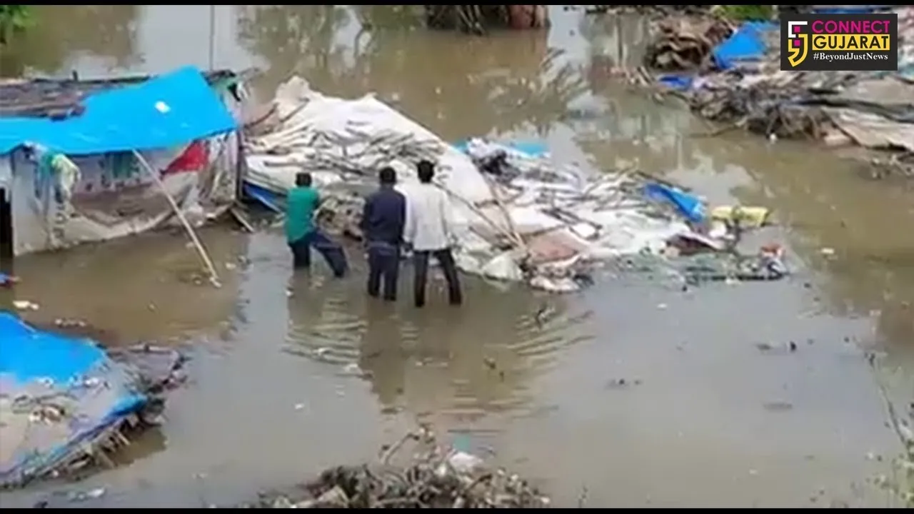 Crocodile rescued by forest department