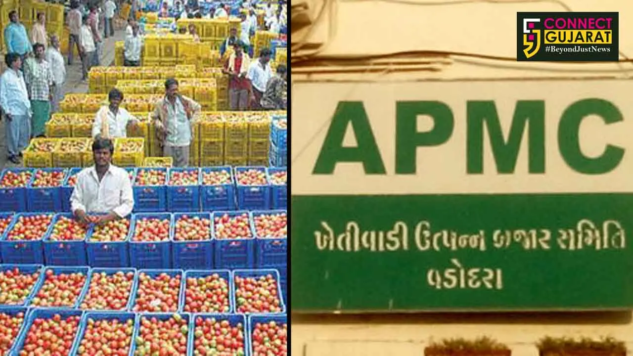 Vadodara APMC opens two centres to sell vegetables on discounted rates