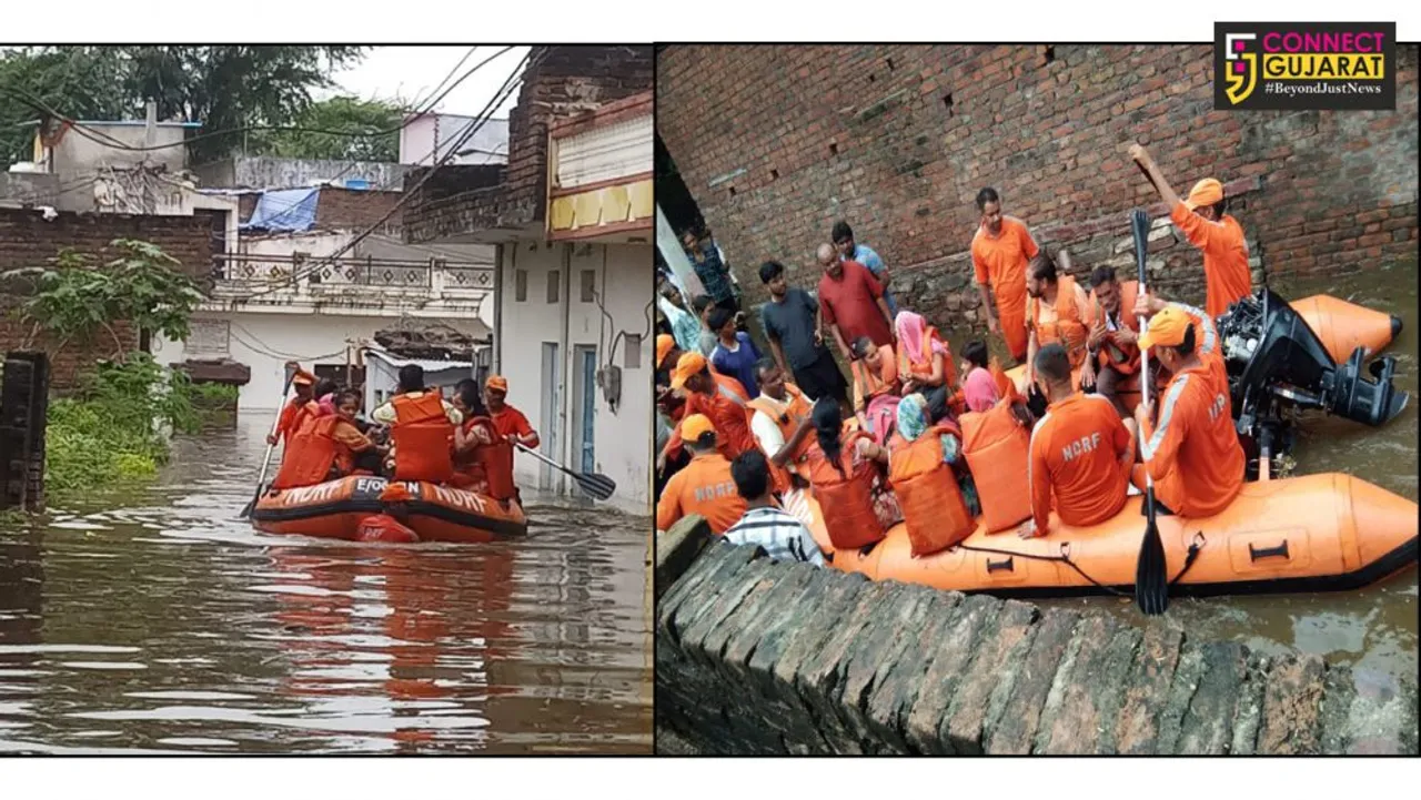 Total 8 NDRF Teams deployed in Rajasthan in view of the flood situation