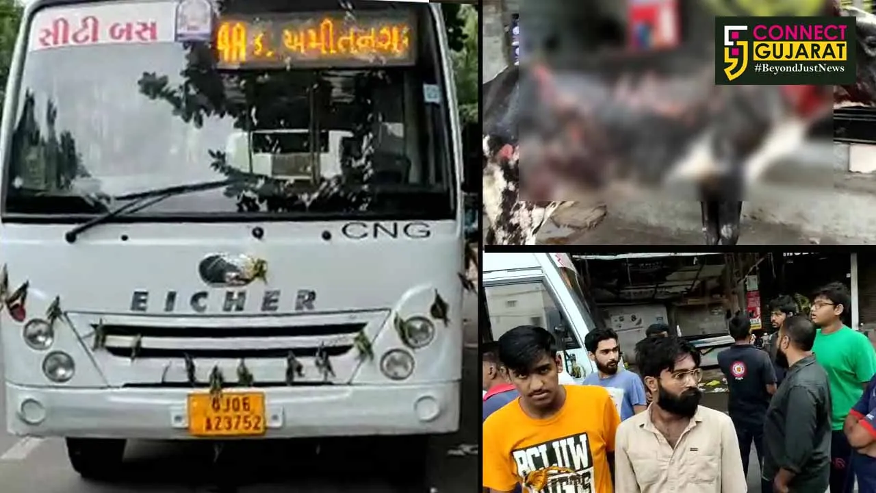 Three cows severely injured in Vadodara after came in front of running city bus
