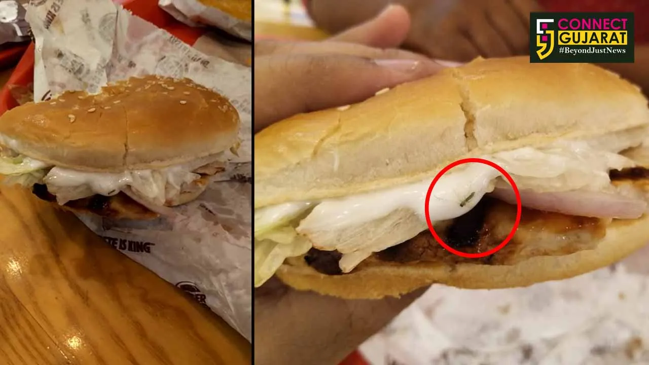 Dead mosquito found in burger at Burger King in Vadodara
