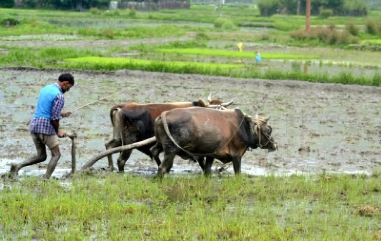 Google on mission leading helping hand towards small farmers in India