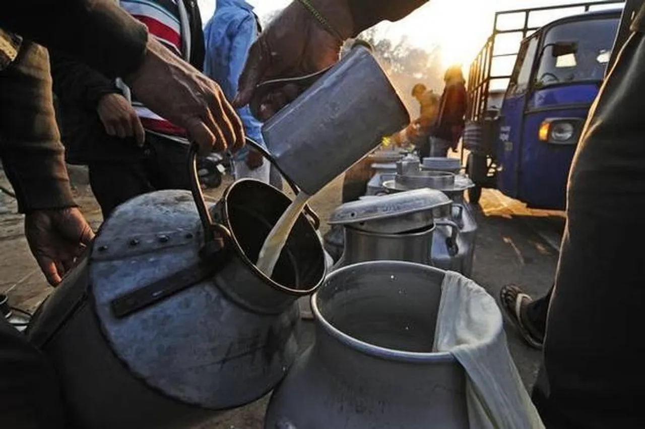 Milk quality largely safe, presence of Aflatoxin M1 residues raises concern: FSSAI survey