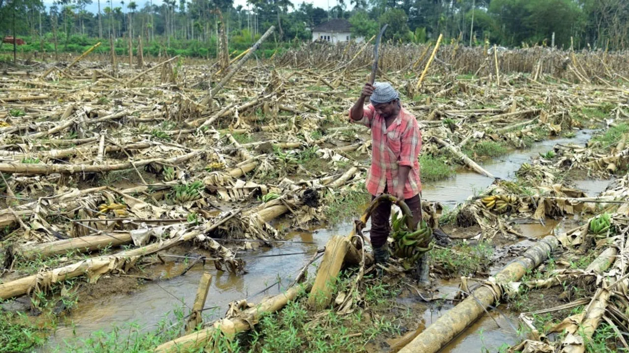 One third of Maharashtra’s cultivated area damaged due to unseasonal rainfall