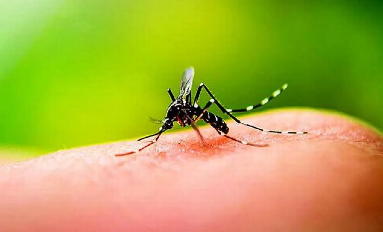Vadodara youth died of dengue