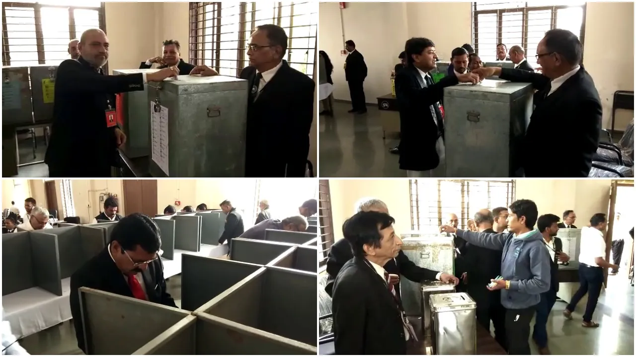 Baroda Bar association elections starts peacefully